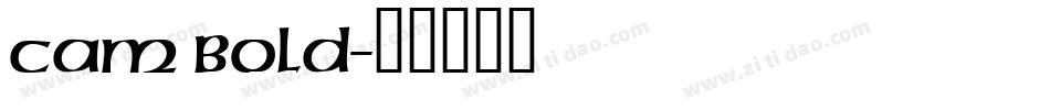 Cam Bold字体转换